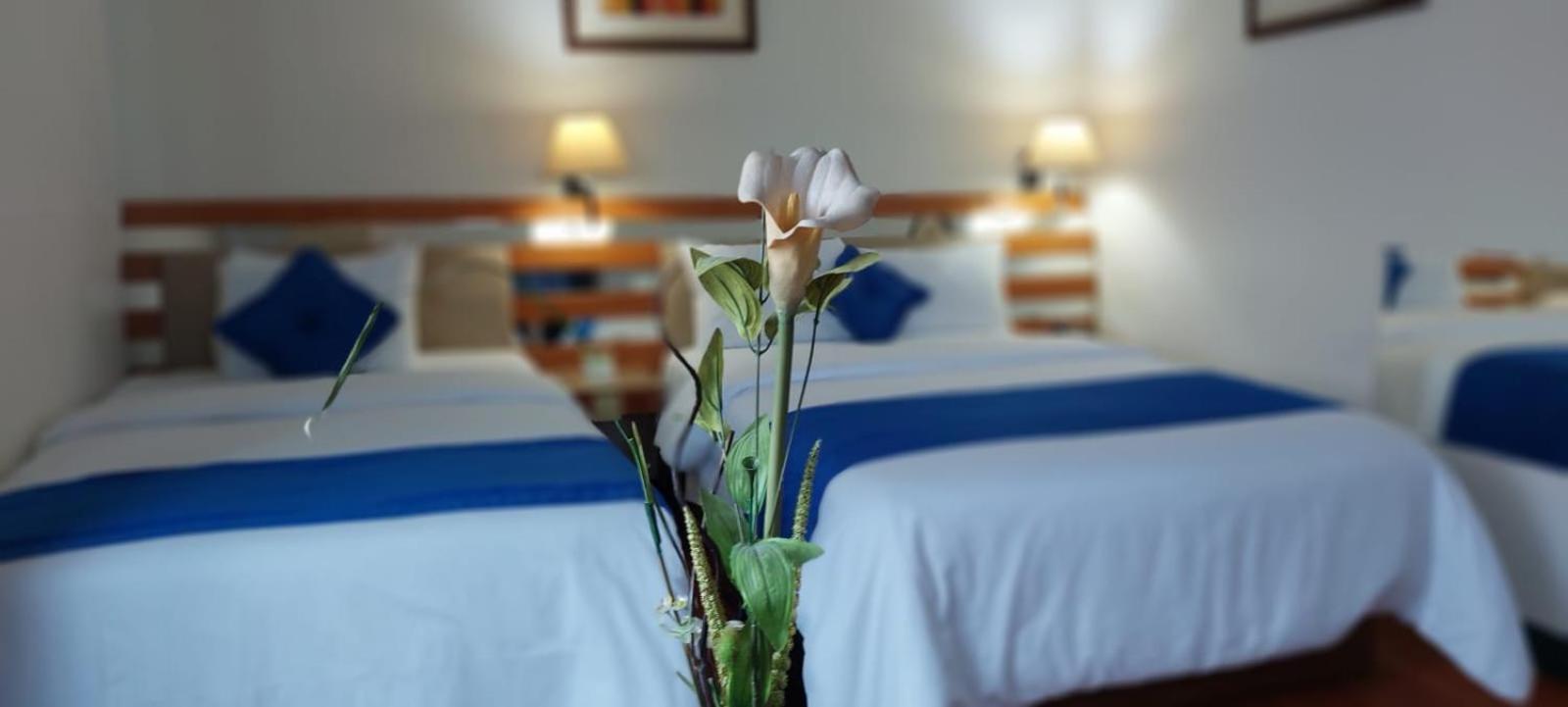 Hotel Blue Star 3*